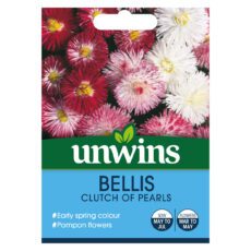 5051618010313 1 Bellis Clutch Of Pearls Seeds.jpg